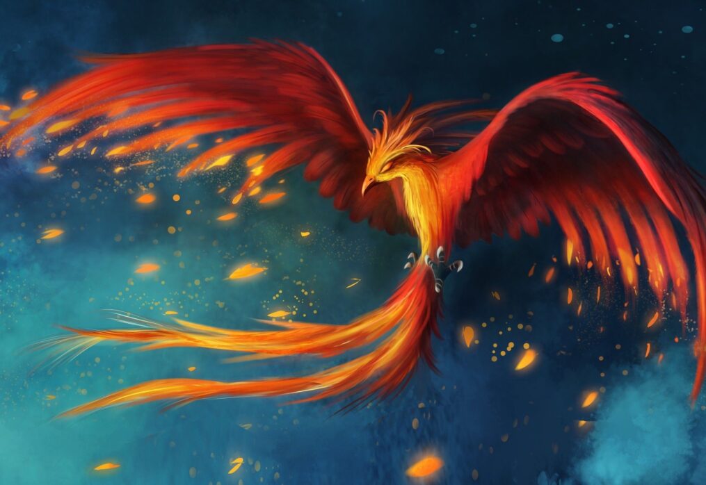 The Phoenix